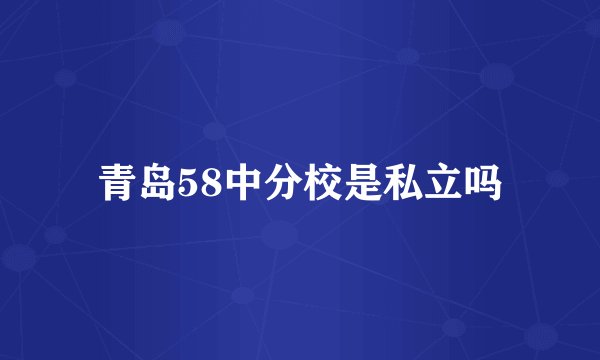 青岛58中分校是私立吗