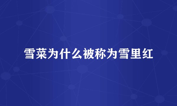 雪菜为什么被称为雪里红