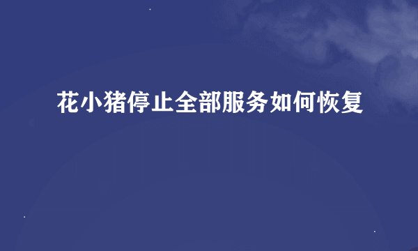 花小猪停止全部服务如何恢复