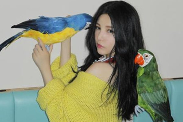 本兮是因为什么而死的?