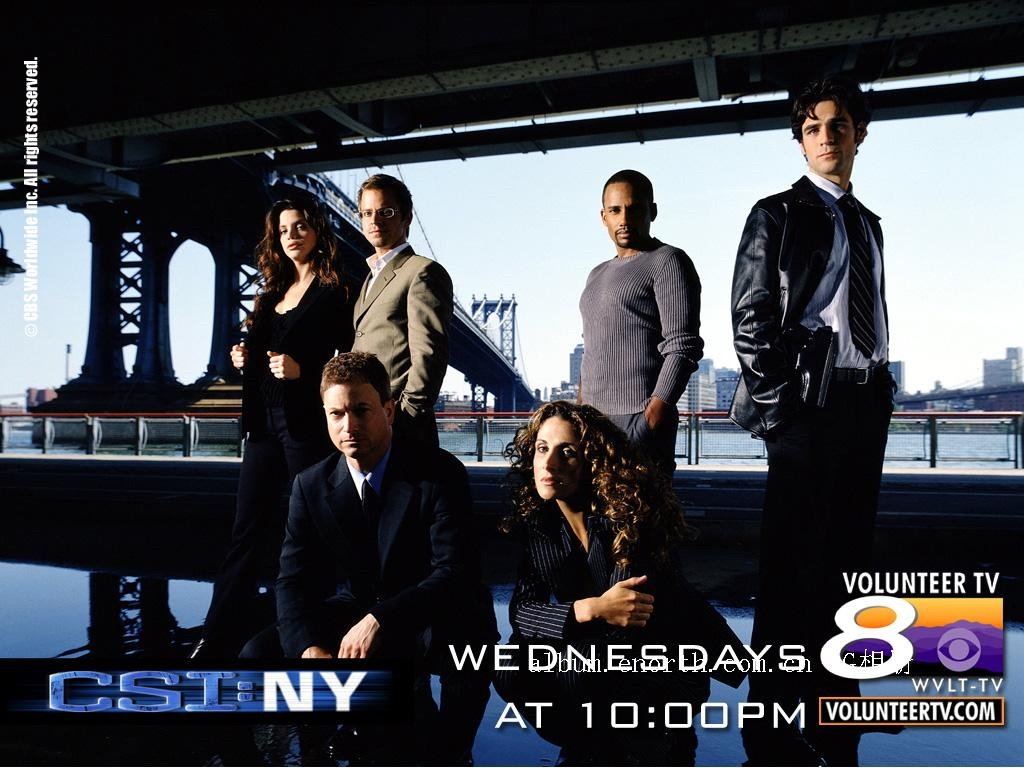 犯罪现场调查：纽约的主演介绍