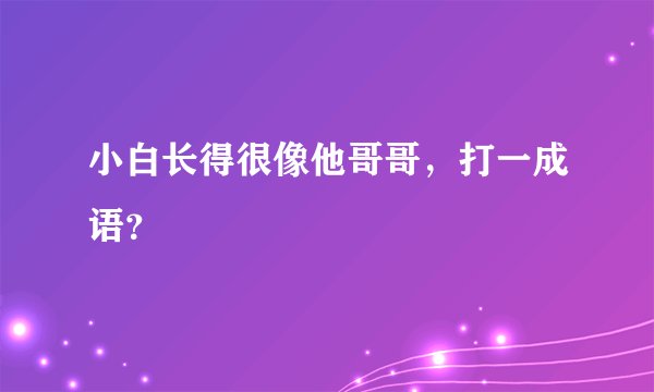小白长得很像他哥哥，打一成语？