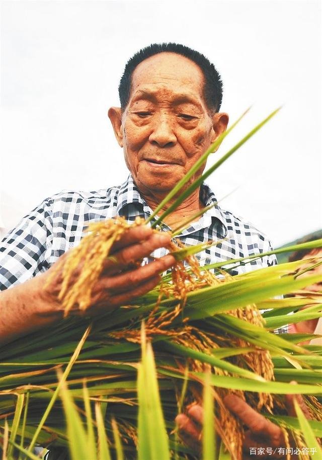 袁隆平一年工资才七万块,生活开支够花吗?