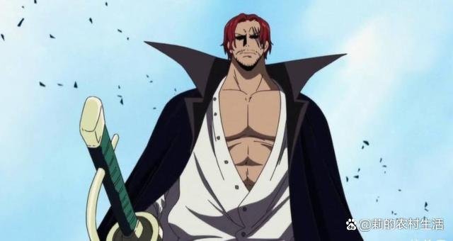 海贼王新四皇路飞接收和之国，和之国的剧情有哪些精彩之处？