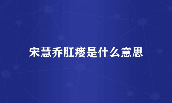 宋慧乔肛瘘是什么意思