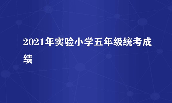 2021年实验小学五年级统考成绩