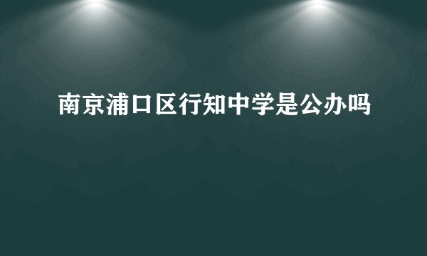 南京浦口区行知中学是公办吗
