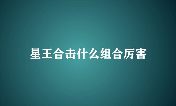 星王合击什么组合厉害