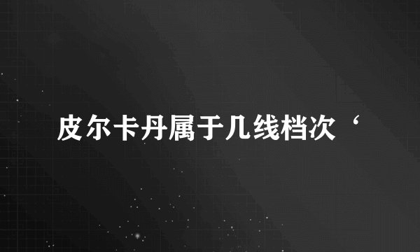 皮尔卡丹属于几线档次‘