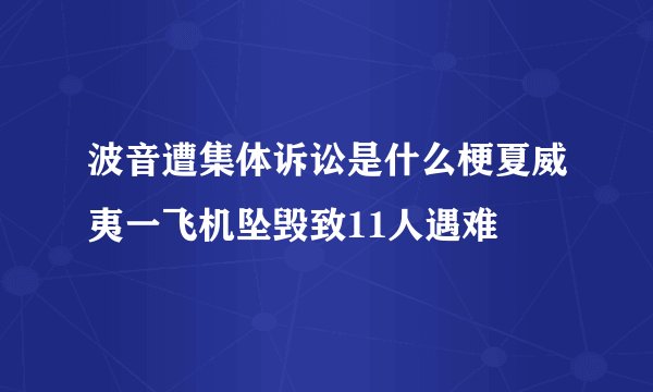 波音遭集体诉讼是什么梗夏威夷一飞机坠毁致11人遇难