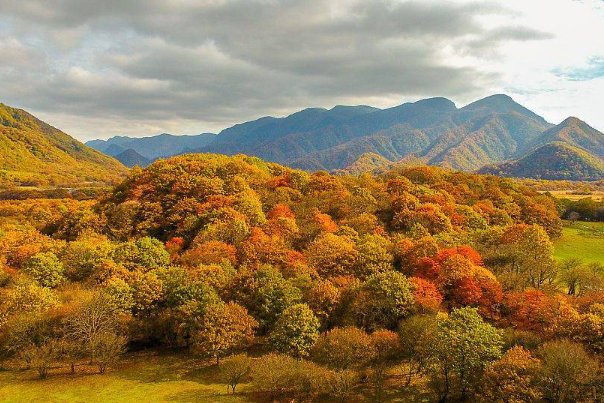 秋天的深处10字造句