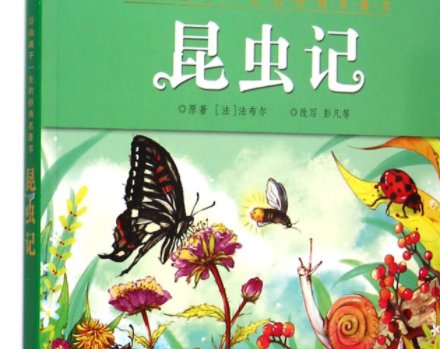 昆虫记精彩片段300到400字