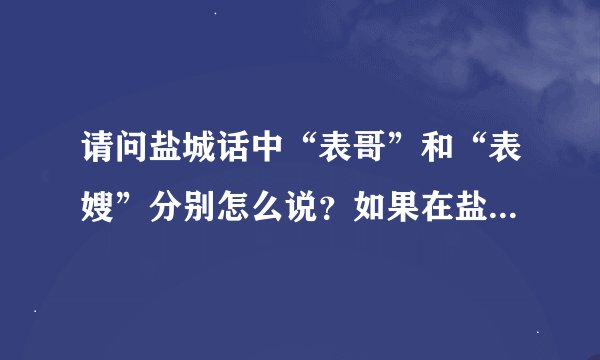 请问盐城话中“表哥”和“表嫂”分别怎么说？如果在盐城有特别的说法，请把这个特别的说法写下来。