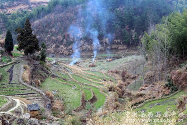 岳西人网的概述