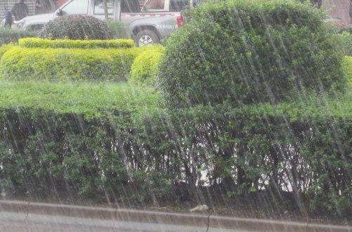 雨下的真大，写一段话。