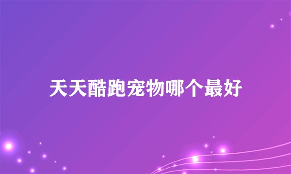 天天酷跑宠物哪个最好