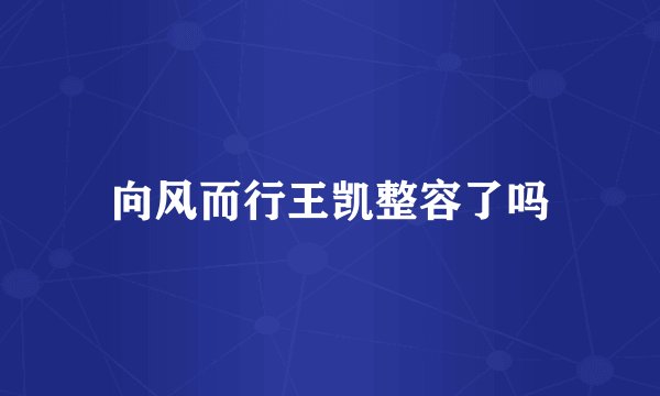 向风而行王凯整容了吗