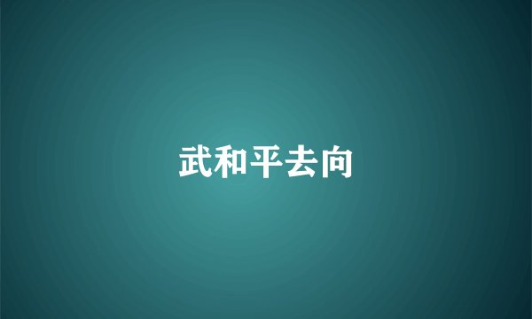 武和平去向