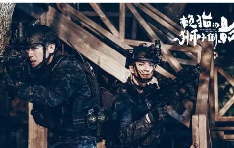 懒猫爱上狮子倒影谁是坏人