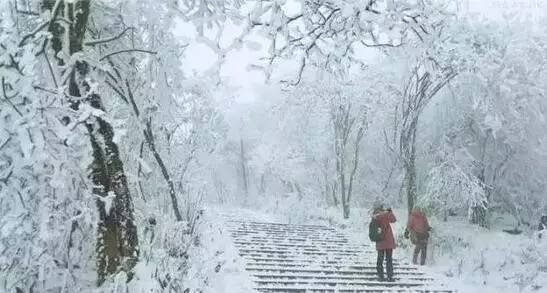 全国多地迎入秋以来首场降雪，降雪的必要因素是什么？