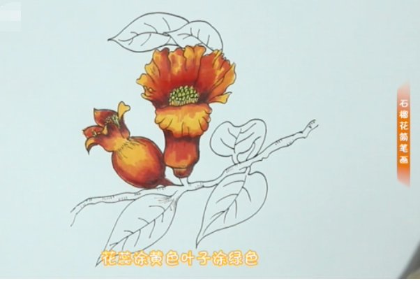 怎样画石榴花简笔画