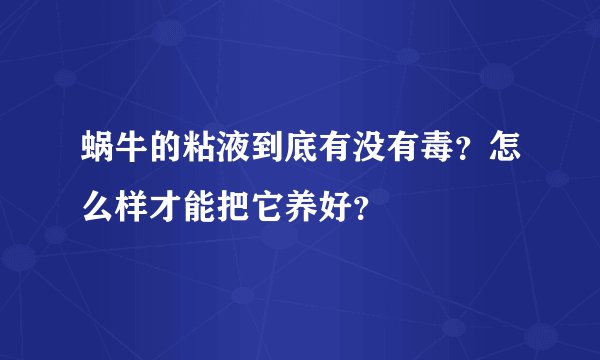 蜗牛的粘液到底有没有毒？怎么样才能把它养好？