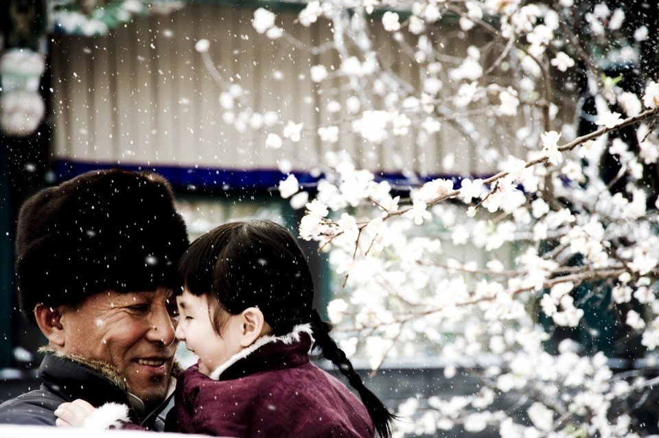 《一代宗师》是一部怎样的影片？