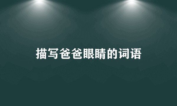 描写爸爸眼睛的词语