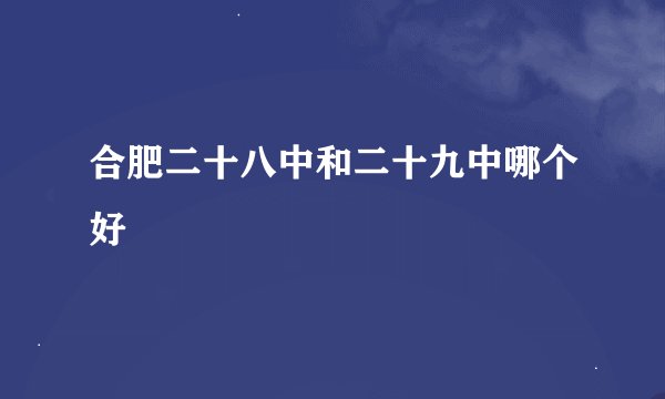 合肥二十八中和二十九中哪个好