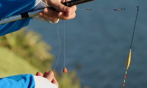 台钓线组调漂的技巧和方法视频教程