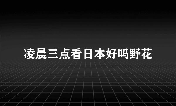 凌晨三点看日本好吗野花