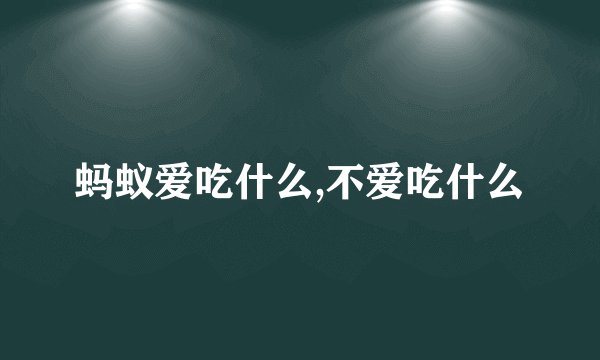蚂蚁爱吃什么,不爱吃什么
