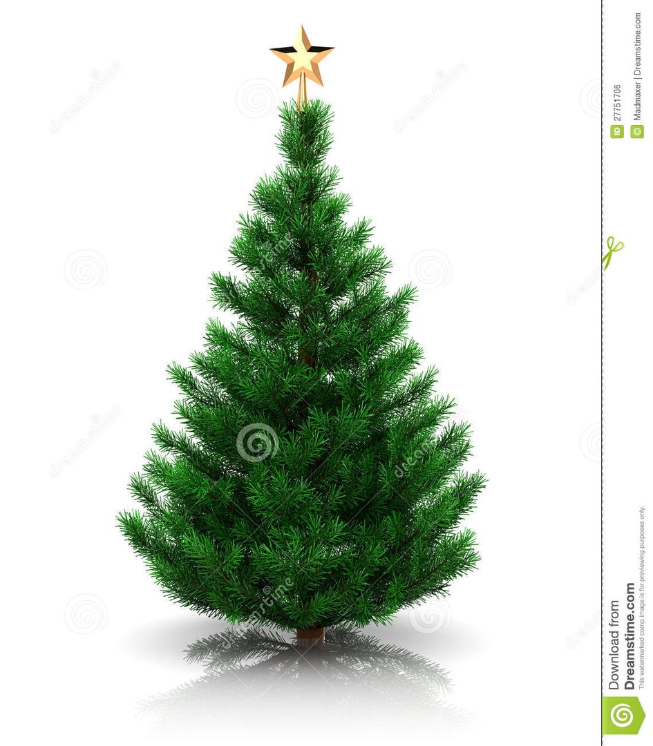 山上有棵圣诞树的内容提要：