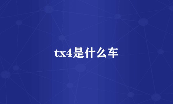 tx4是什么车