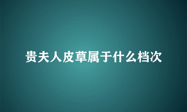 贵夫人皮草属于什么档次