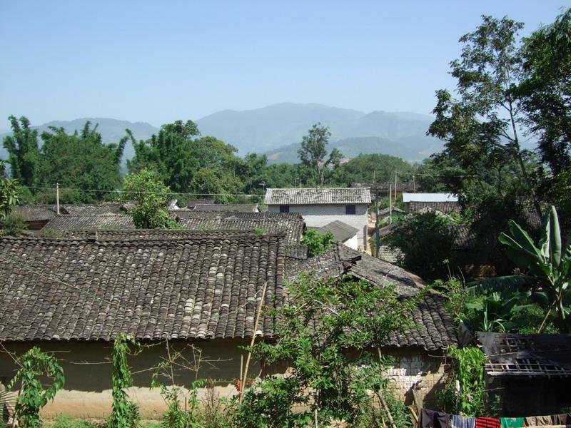 克劳德·凯利的个人简介