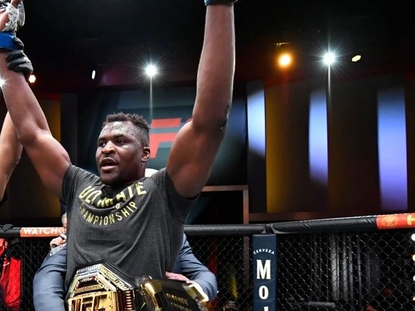 ufc次中最新排名