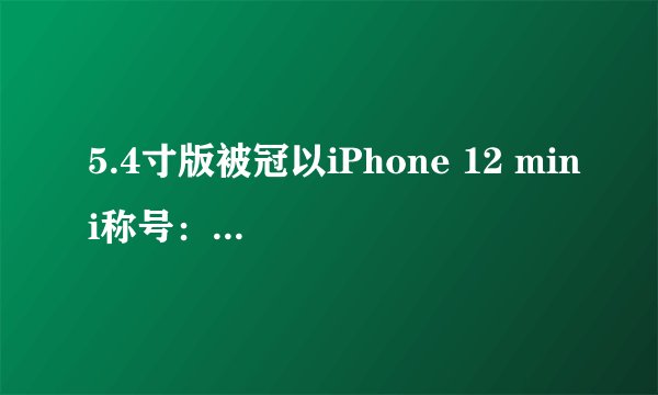 5.4寸版被冠以iPhone 12 mini称号：Pro版开卖时间