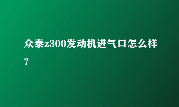 众泰z300发动机进气口怎么样?