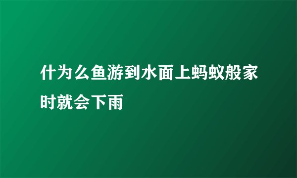 什为么鱼游到水面上蚂蚁般家时就会下雨