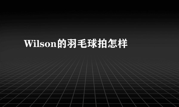 Wilson的羽毛球拍怎样