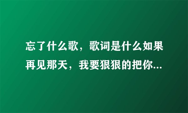 忘了什么歌，歌词是什么如果再见那天，我要狠狠的把你抱住？什么歌