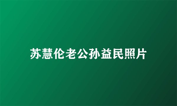 苏慧伦老公孙益民照片