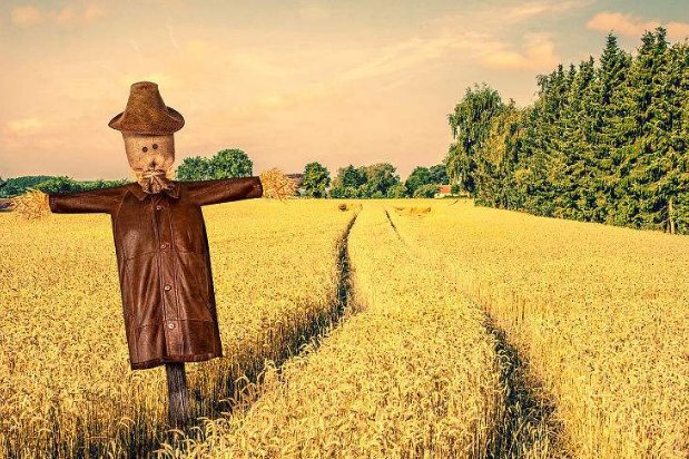 no one是什么意思