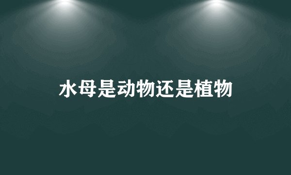 水母是动物还是植物