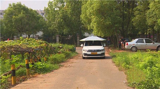 驾校学费多少？