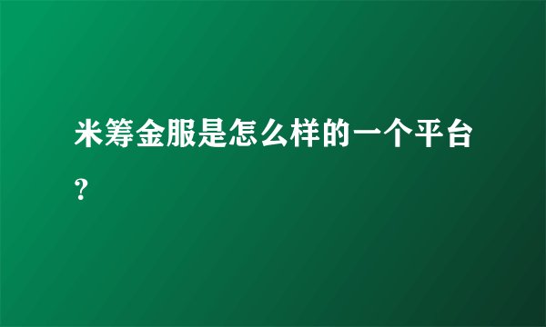 米筹金服是怎么样的一个平台？