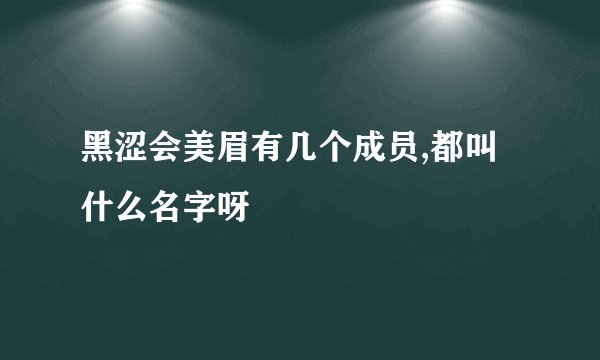 黑涩会美眉有几个成员,都叫什么名字呀