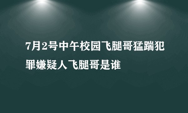 7月2号中午校园飞腿哥猛踹犯罪嫌疑人飞腿哥是谁