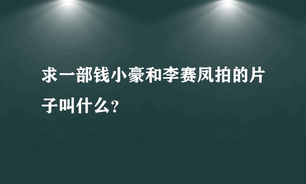 求一部钱小豪和李赛凤拍的片子叫什么？